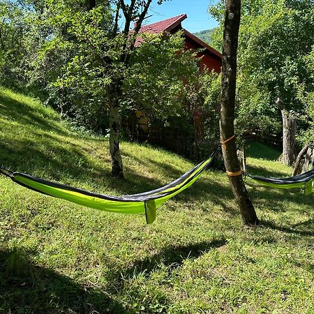 فيلا Casa Lupilor Transfagarasan Căpăţîneni-Ungureni المظهر الخارجي الصورة
