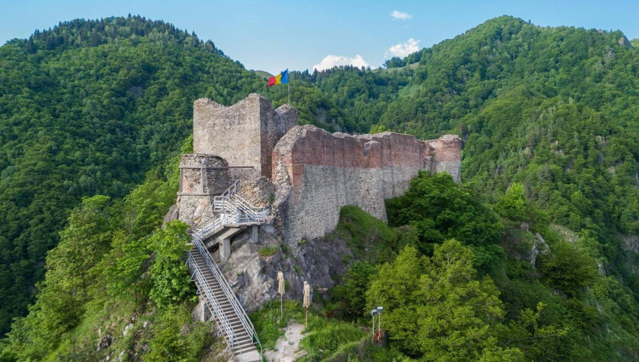 فيلا Casa Lupilor Transfagarasan Căpăţîneni-Ungureni المظهر الخارجي الصورة