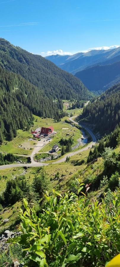 فيلا Casa Lupilor Transfagarasan Căpăţîneni-Ungureni المظهر الخارجي الصورة