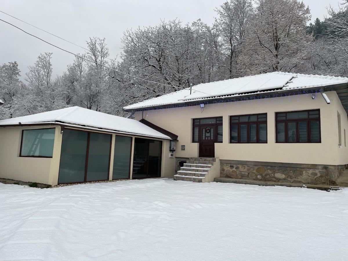 فيلا Casa Lupilor Transfagarasan Căpăţîneni-Ungureni المظهر الخارجي الصورة