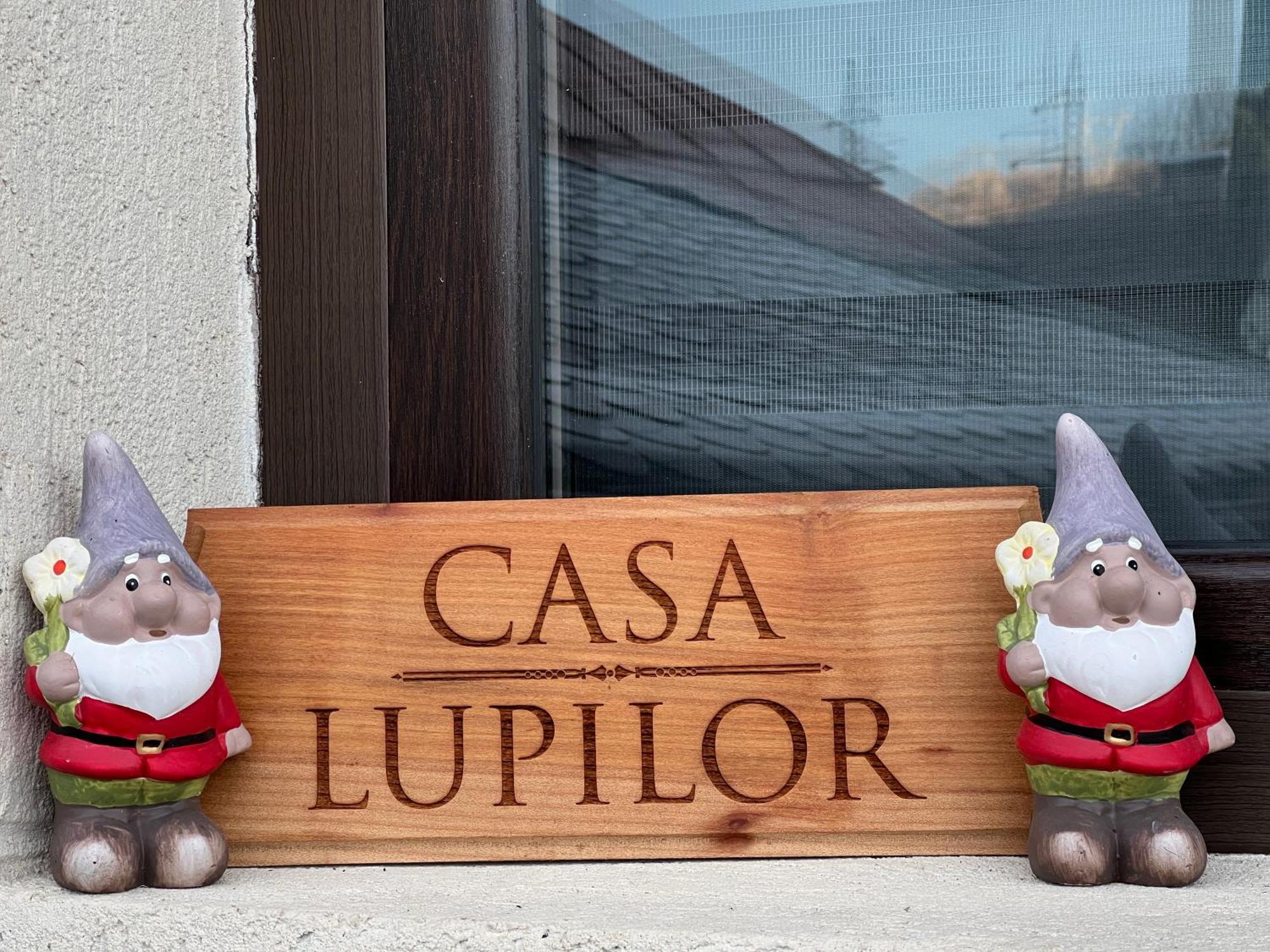 فيلا Casa Lupilor Transfagarasan Căpăţîneni-Ungureni المظهر الخارجي الصورة