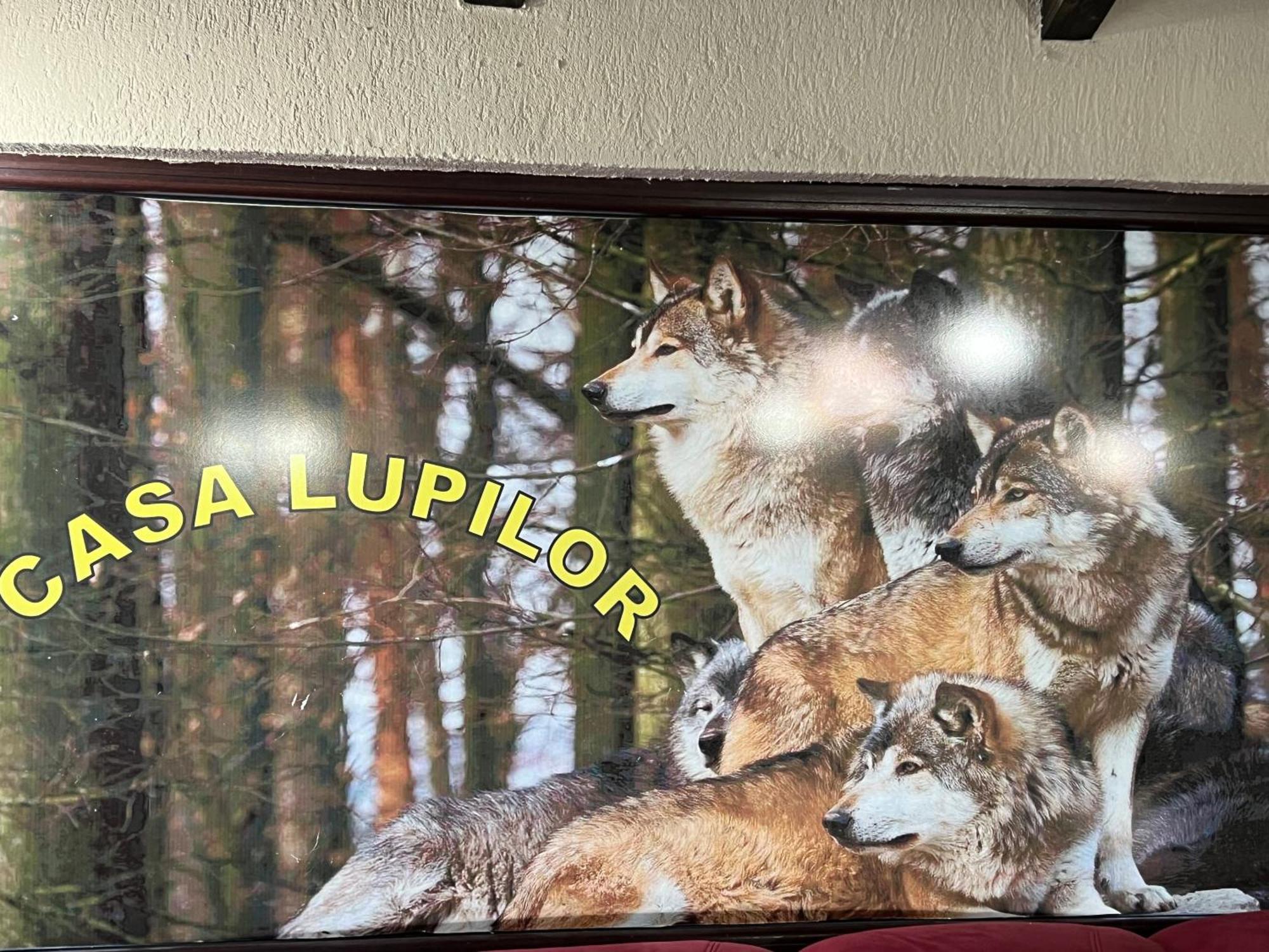 فيلا Casa Lupilor Transfagarasan Căpăţîneni-Ungureni المظهر الخارجي الصورة