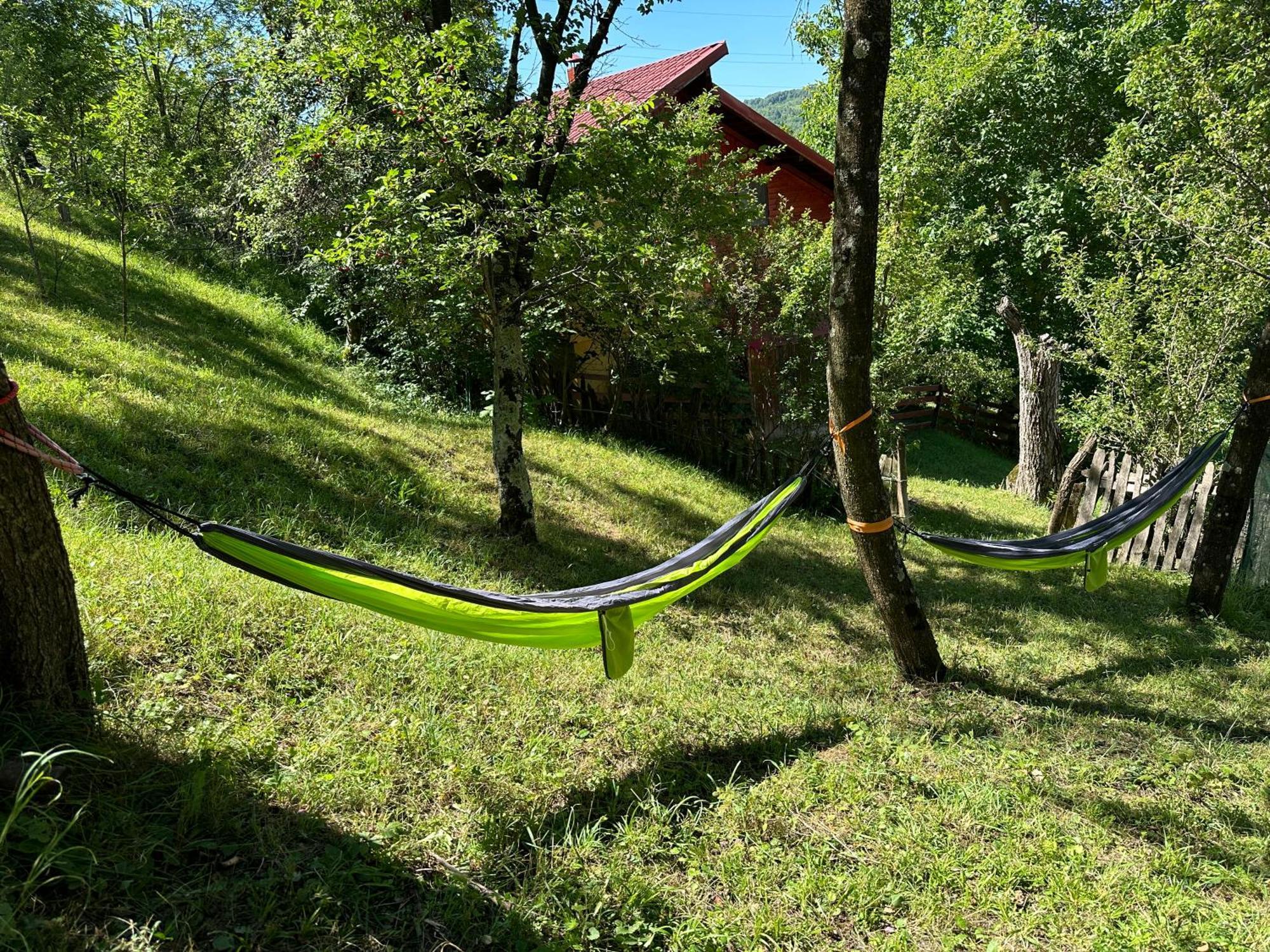 فيلا Casa Lupilor Transfagarasan Căpăţîneni-Ungureni المظهر الخارجي الصورة