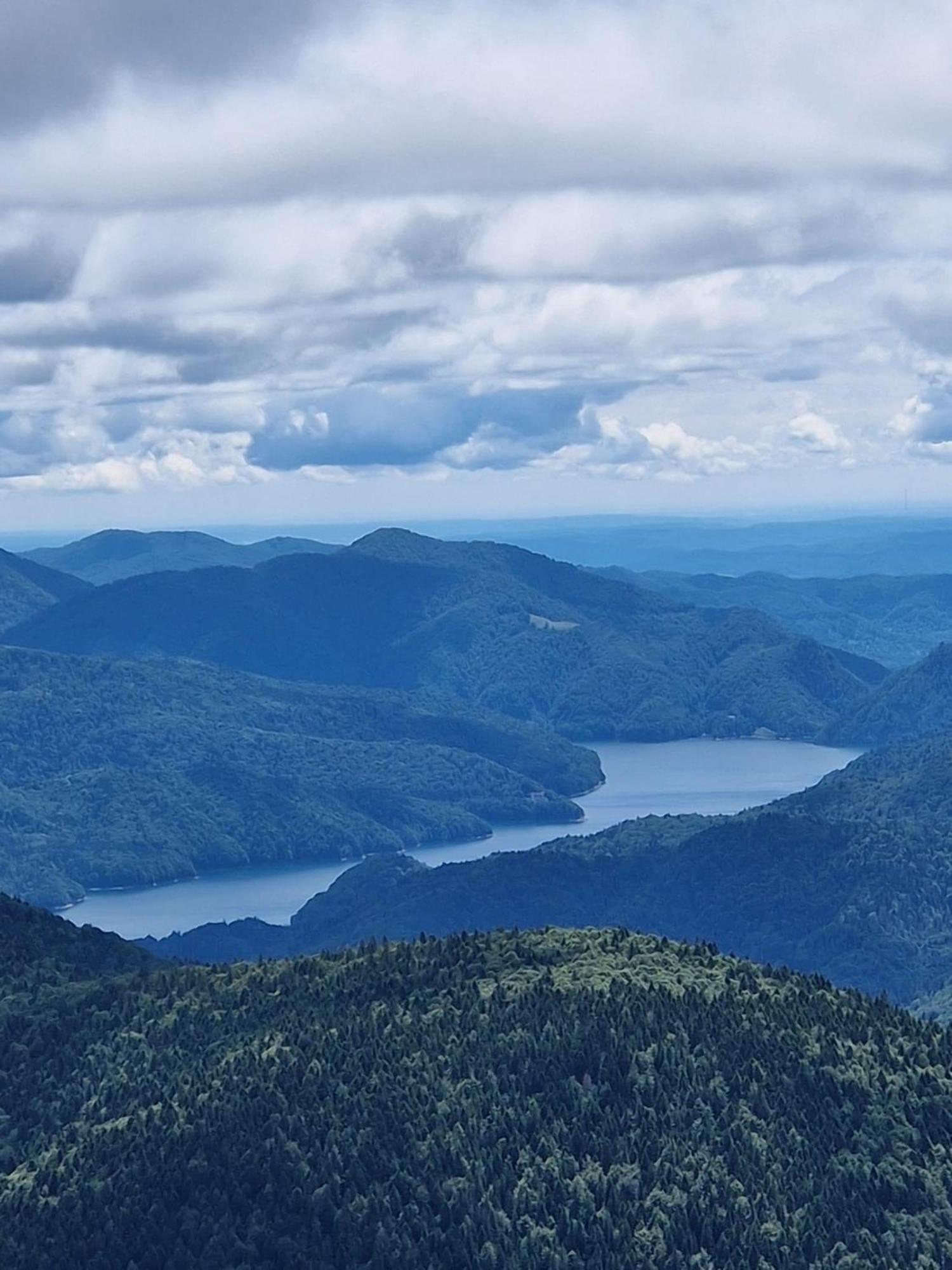 فيلا Casa Lupilor Transfagarasan Căpăţîneni-Ungureni المظهر الخارجي الصورة